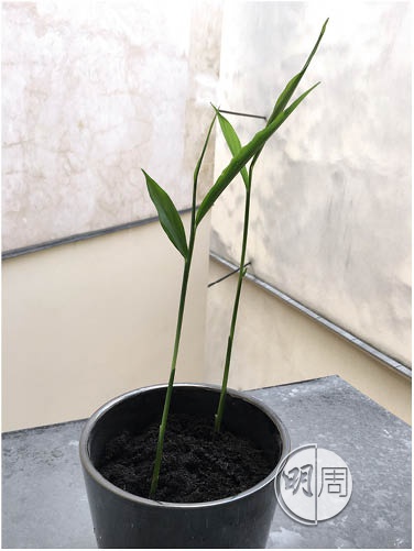 mpw2486_b090-099_005_crop