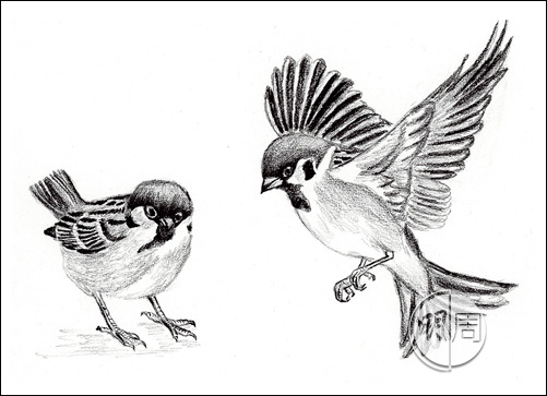 mpw2493_b114-123_e000