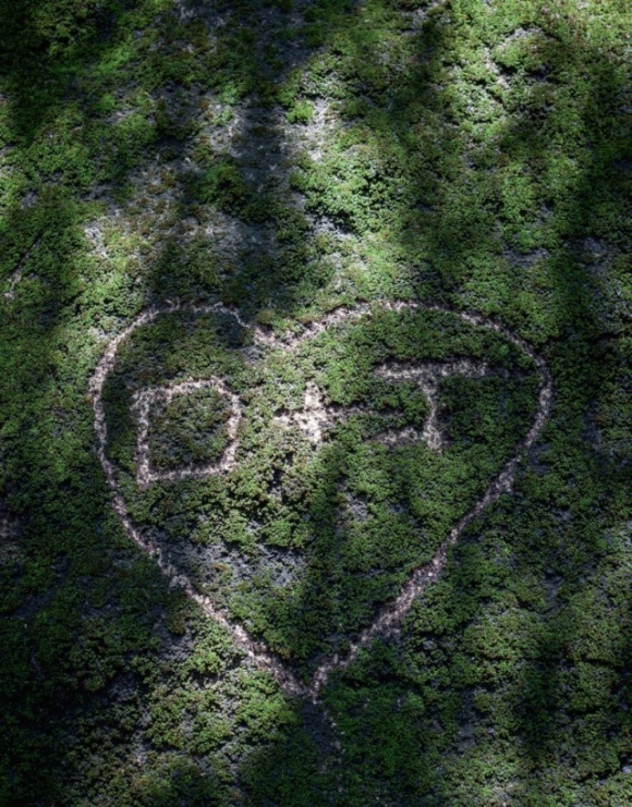 苔蘚滿佈岩石上，被人留下愛情印記。