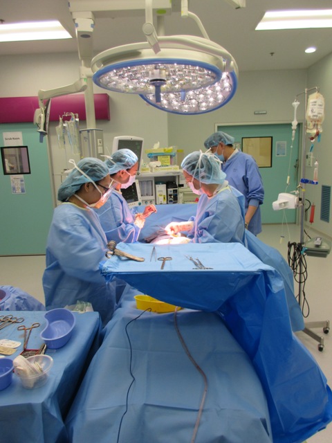 手術室根據微創手術的需要而設計，可應付如普通外科、骨科、婦科、泌尿科等各種微創手術。
