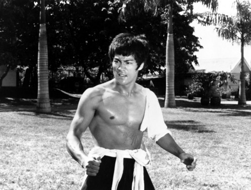 t-h-e-master-bruce-lee-26727147-500-378