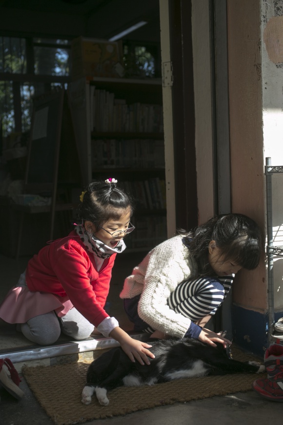 坐鎮圖書館門外的花貓「阿黑」，孩子們最愛逗牠玩，牠似乎已經認得每一個同學。