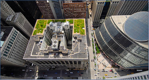 芝加哥市政廳綠色屋頂，旨在為都市降溫。
