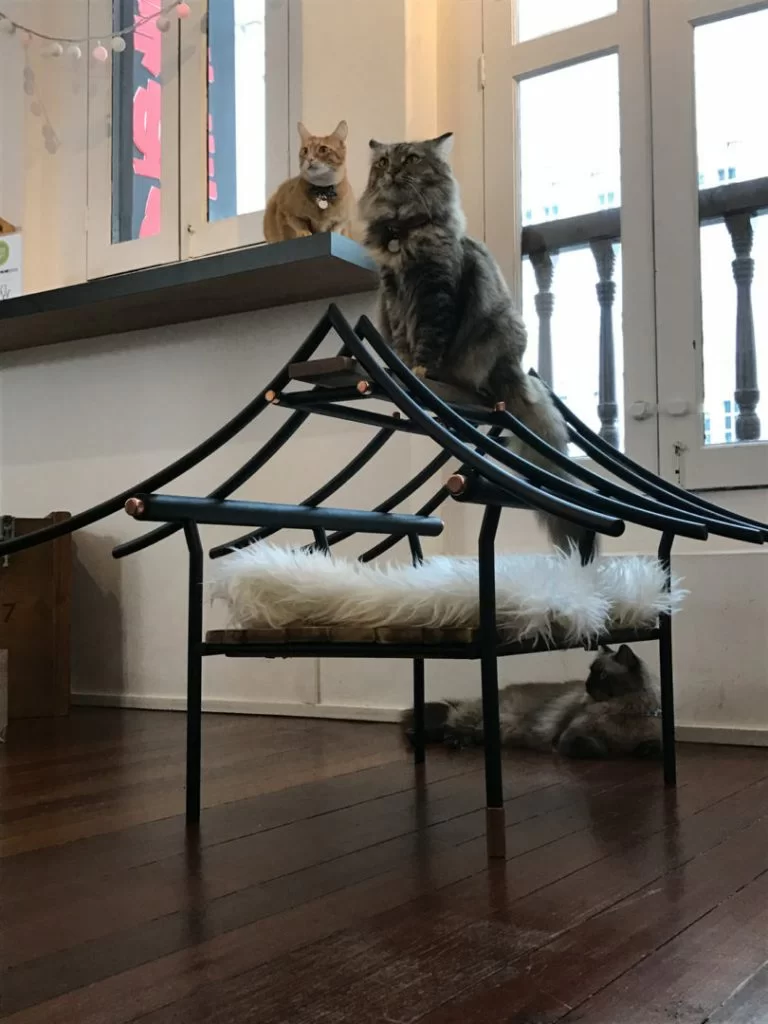9lives-catfurniture-7-810x1080