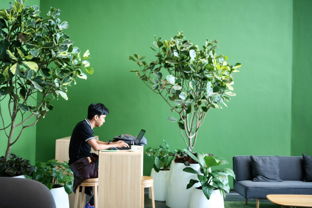 共享工作室墨綠牆身與大量綠色植物，打造成城市溫室，遠離繁囂。