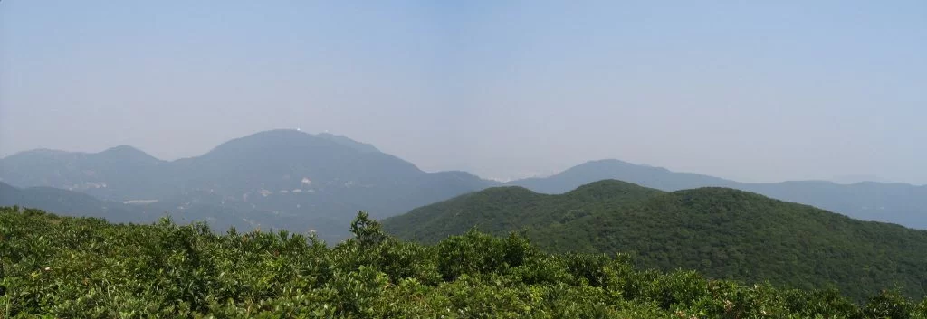tai_tam_2