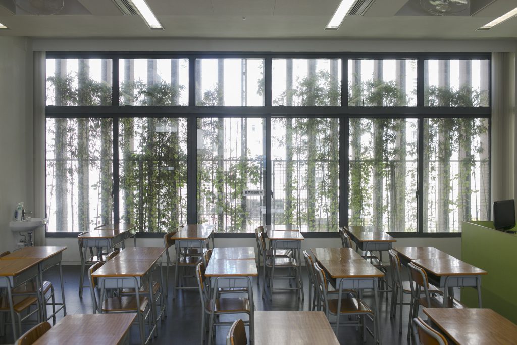 班房窗外設置木材屏障，種植竹枝、攀藤植物，以一道道層次阻隔對望鄰邨的景觀並遮擋陽光。