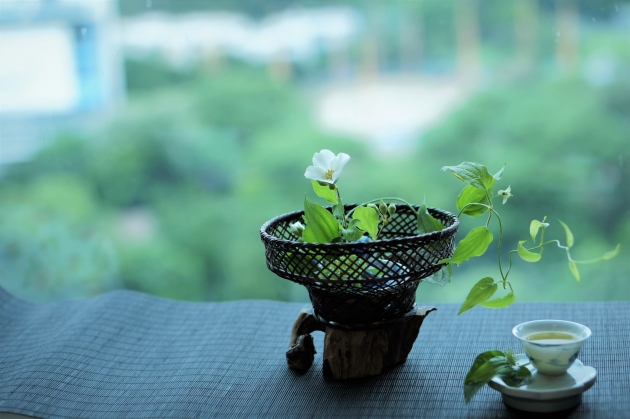 在家中賞山梅花、利休草，品梔子花窨烏龍茶。（圖片由受訪者提供）