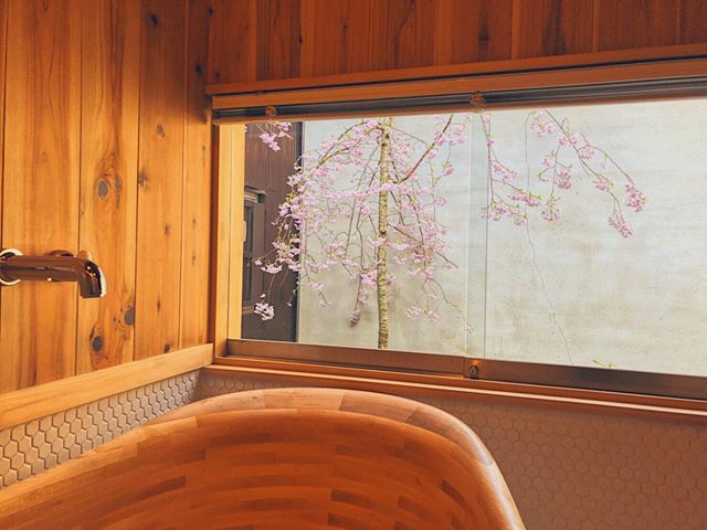 從浴室可看到櫻花美景