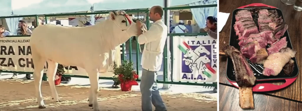 %e8%9e%a2%e5%b9%95%e5%bf%ab%e7%85%a7-2018-03-19-%e4%b8%8b%e5%8d%885-22-46