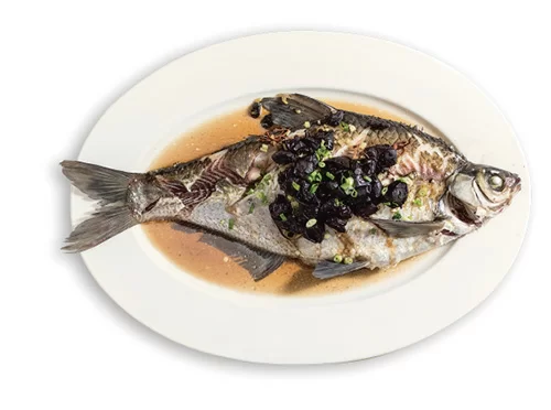 mpw2582_b024-025_e000