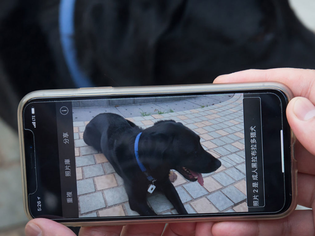 用手機App”Tap Tap See”拍下眼前事物，會讀出「成年拉布拉多犬」。