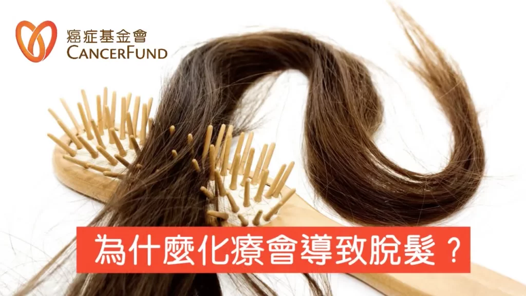 %e8%9e%a2%e5%b9%95%e5%bf%ab%e7%85%a7-2018-07-03-%e4%b8%8b%e5%8d%882-55-21