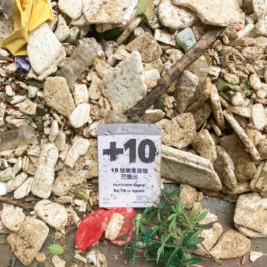 %e8%9e%a2%e5%b9%95%e5%bf%ab%e7%85%a7-2018-11-05-%e4%b8%8b%e5%8d%885-43-03