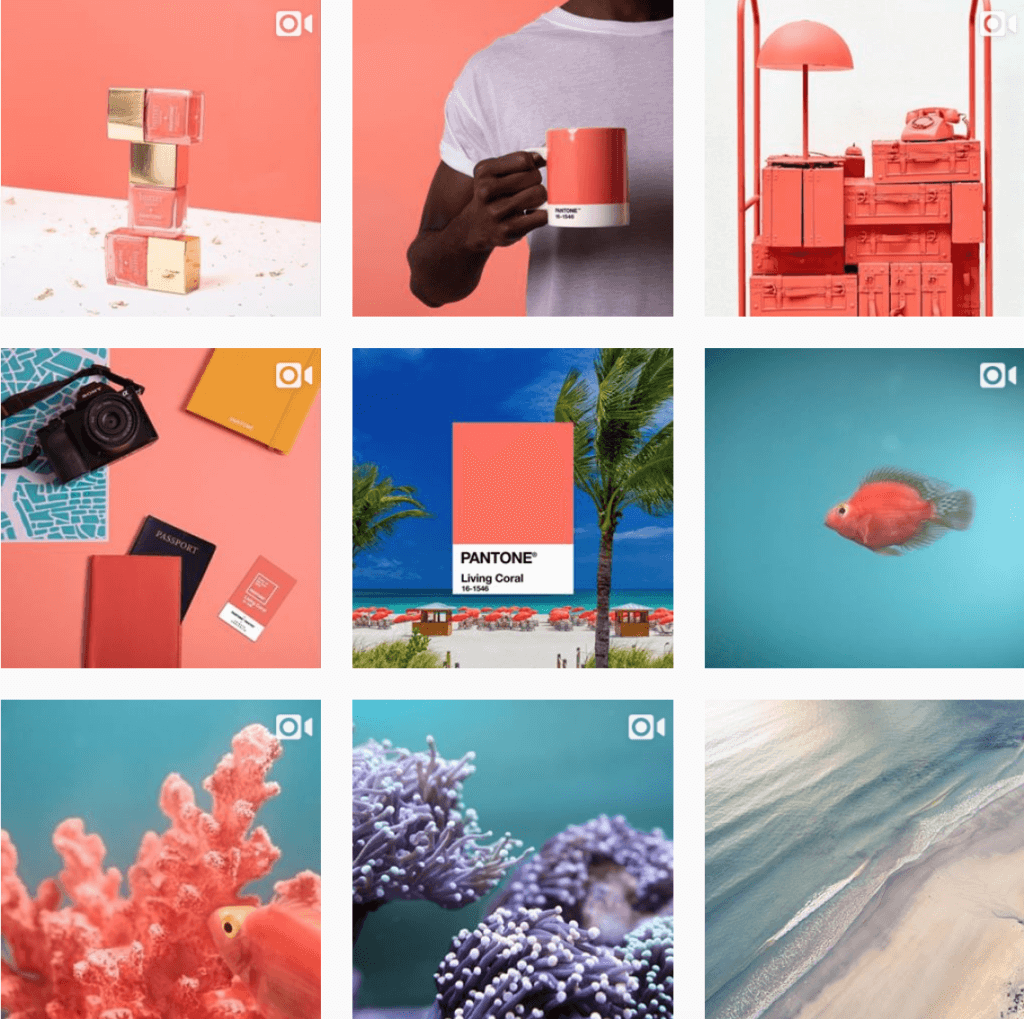 Pantone官方instagram已換上全新色彩，亦分享了關於海洋世界影片和圖片迎合主題。