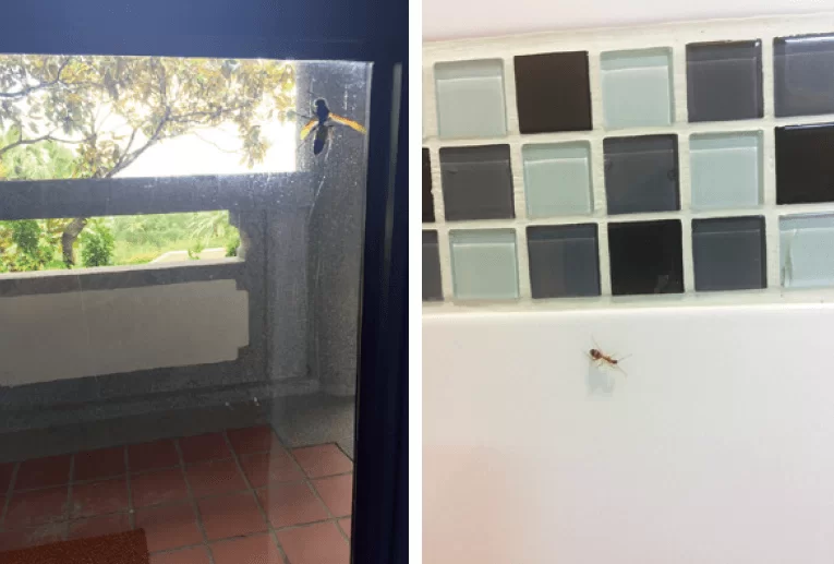 %e8%9e%a2%e5%b9%95%e5%bf%ab%e7%85%a7-2018-12-18-%e4%b8%8b%e5%8d%882-38-47