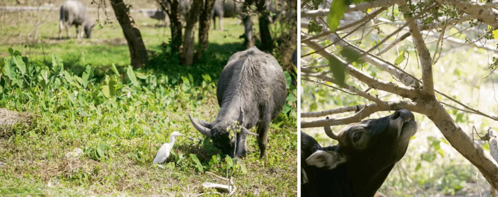 20_008-011_opinion-2