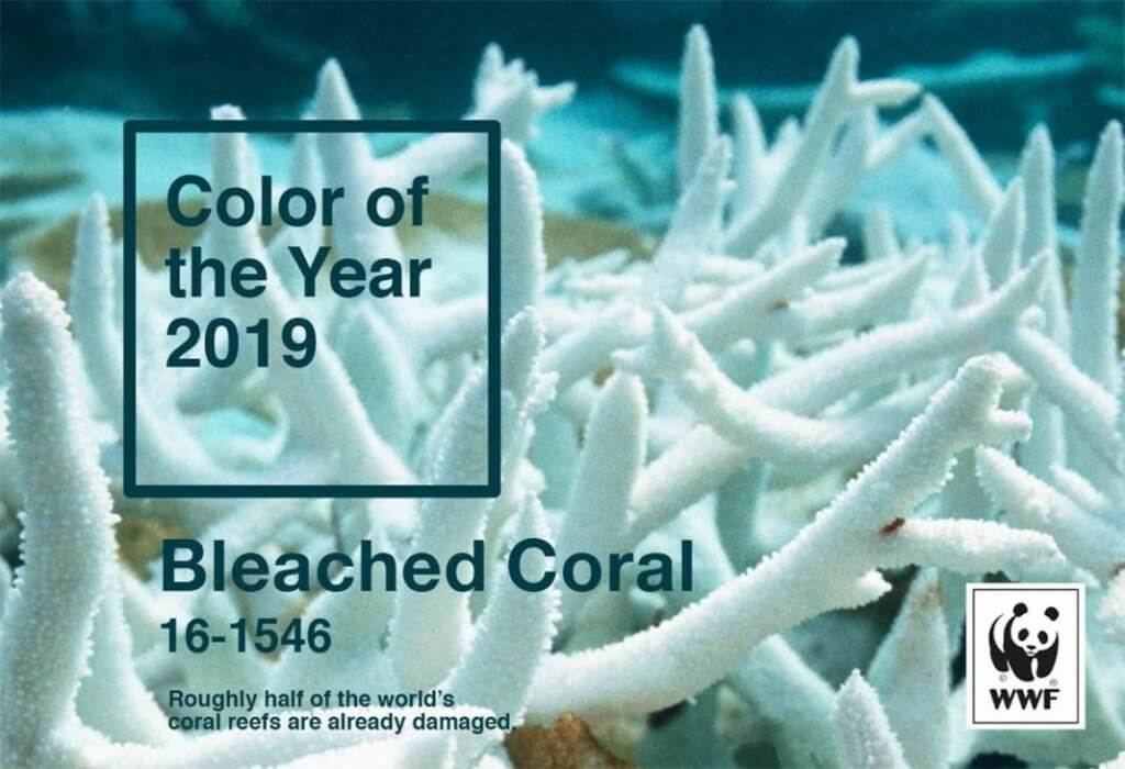 WWF亦曾推出類近的改圖，不少網民表示支持，認為如今看到"Bleached Coral“的機會比"Living Coral"還要高。