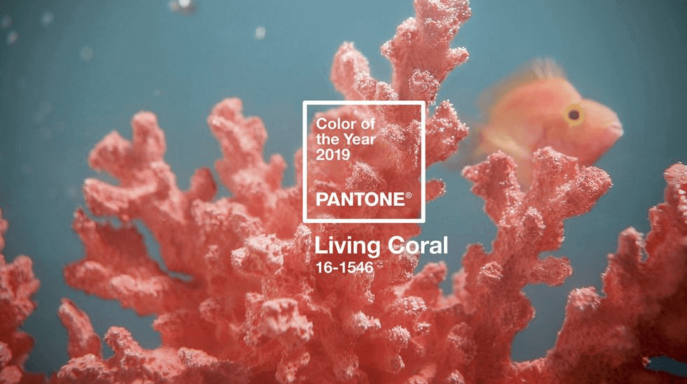 今年Pantone官方的年度顏色"Living Coral"
