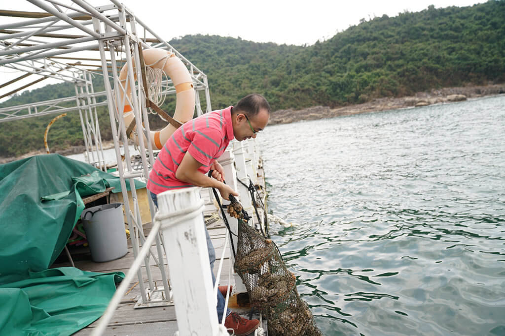 David想藉養珠推廣自然教育，故其魚排與生態教育及資源中心合作，舉行工作坊。