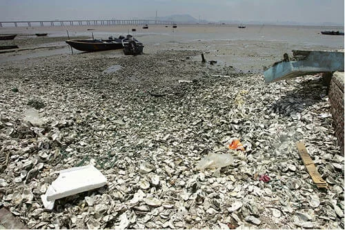 mpw2622_b008-009_001_crop