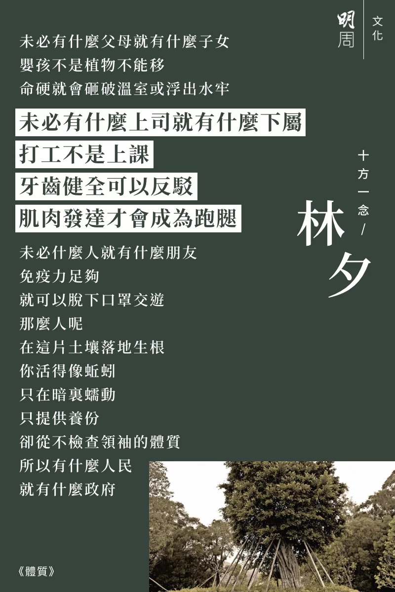 bkb_fb_%e6%9e%97%e5%a4%95_%e9%ab%94%e8%b3%aa