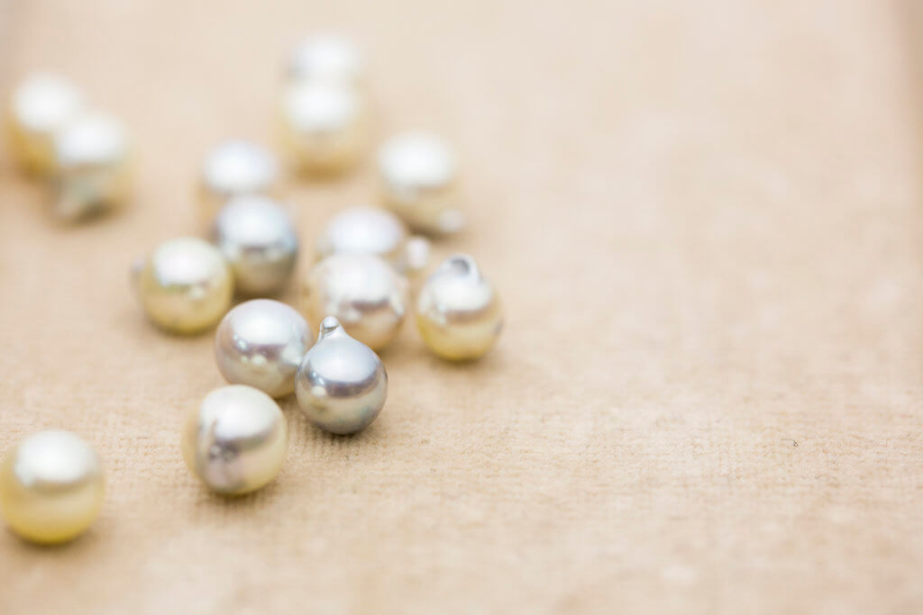 全世界九成半的珍珠屬人工養殖，不過珍珠天然顆顆不同，採收後還是要人工打磨加工。