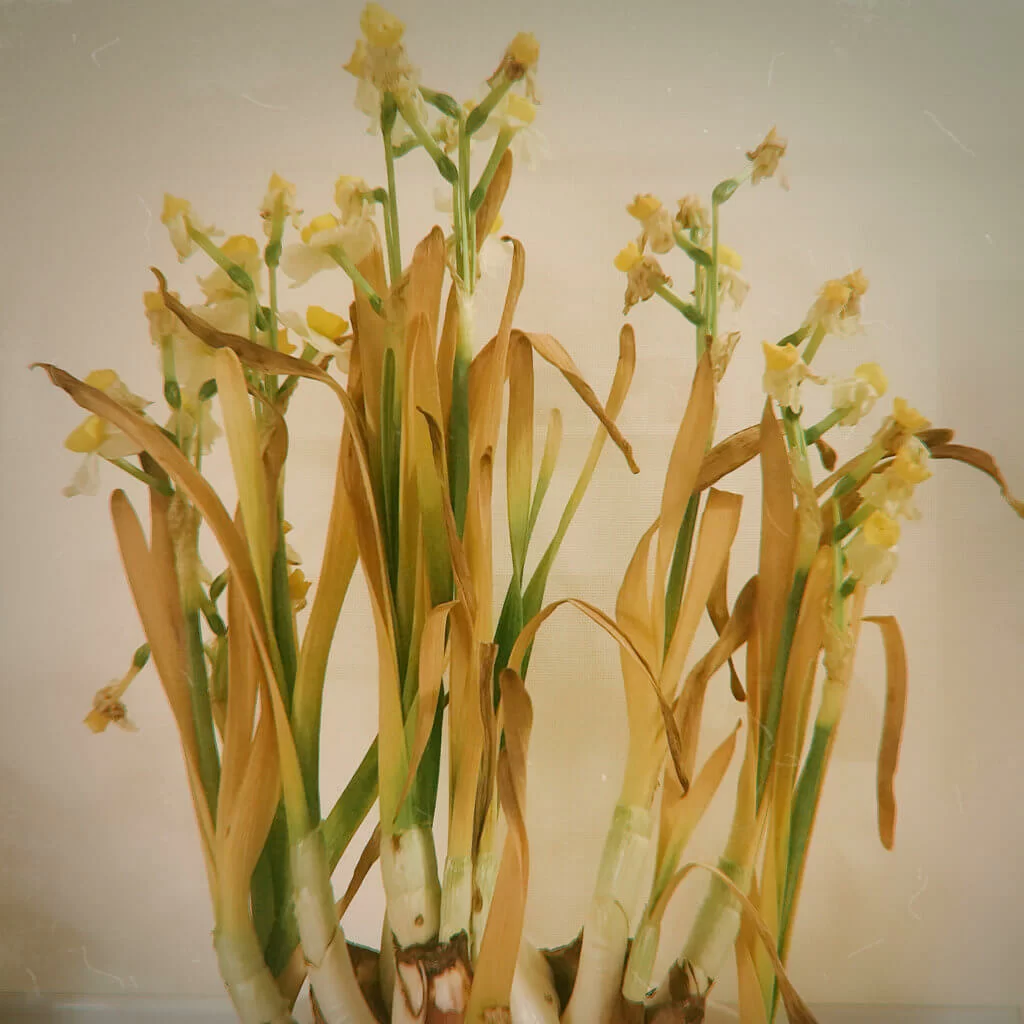 %e4%bd%95%e7%a7%80%e8%90%8d2