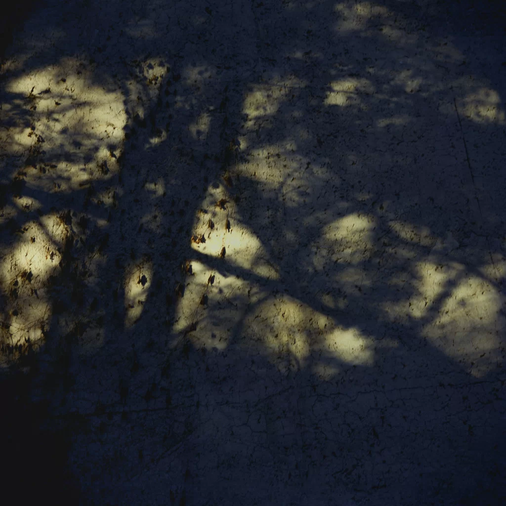 %e7%a7%a6%e5%81%89%ef%bc%8d%ef%bc%8d%e6%a1%91%e8%92%82%e5%a9%adsandra-18