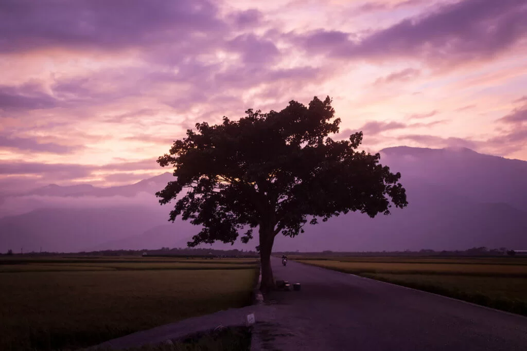 2637%e9%a7%b1%e4%bb%a5%e8%bb%8d