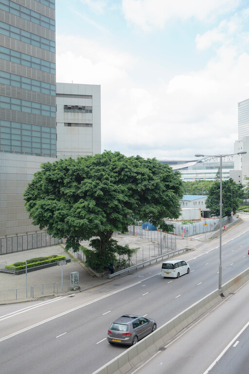 五年後的今日，街道再次佈滿人潮，紅十字會的總部已遷往西九龍。