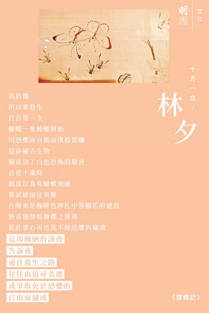 bkb_%e6%9e%97%e5%a4%95_2646