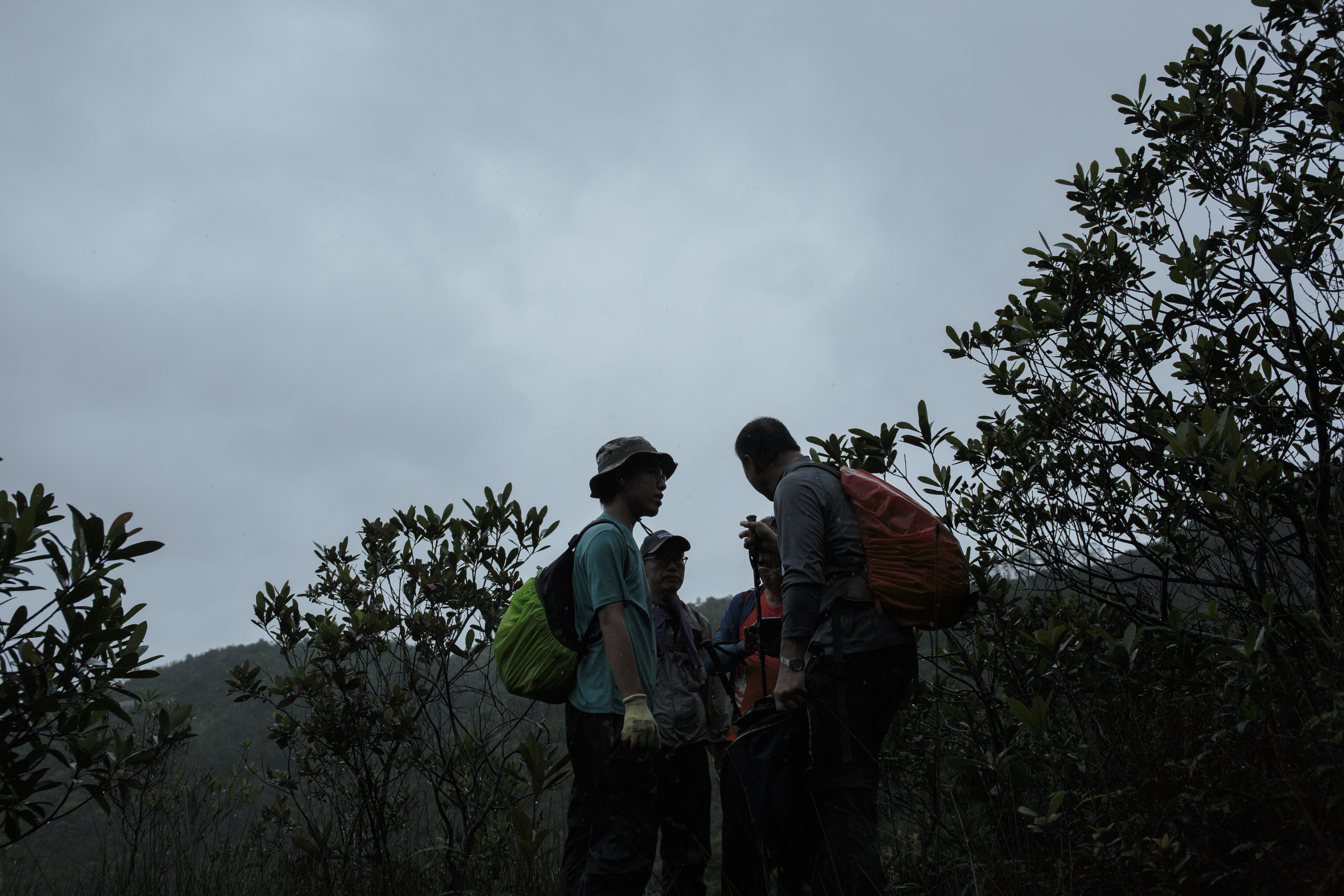 郊野義務搜索隊的成員包括民安隊隊員、登山教練、遠足愛好者、退休警員。 和電訊專才。