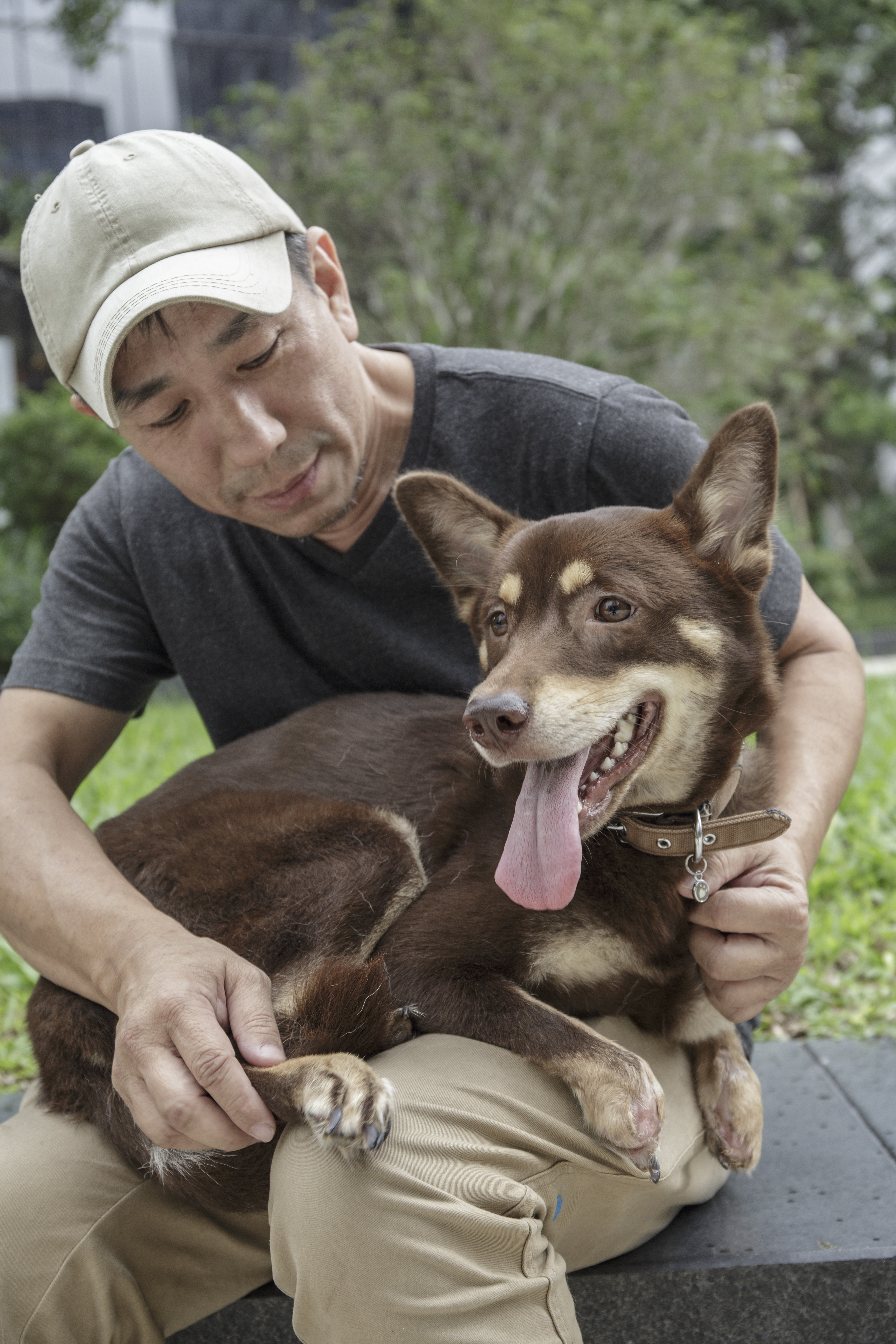 「Roo是一隻傷殘小狗，日後覓食求生能力較低，不能再做流浪狗，我希望為牠找到領養人。」Kent說