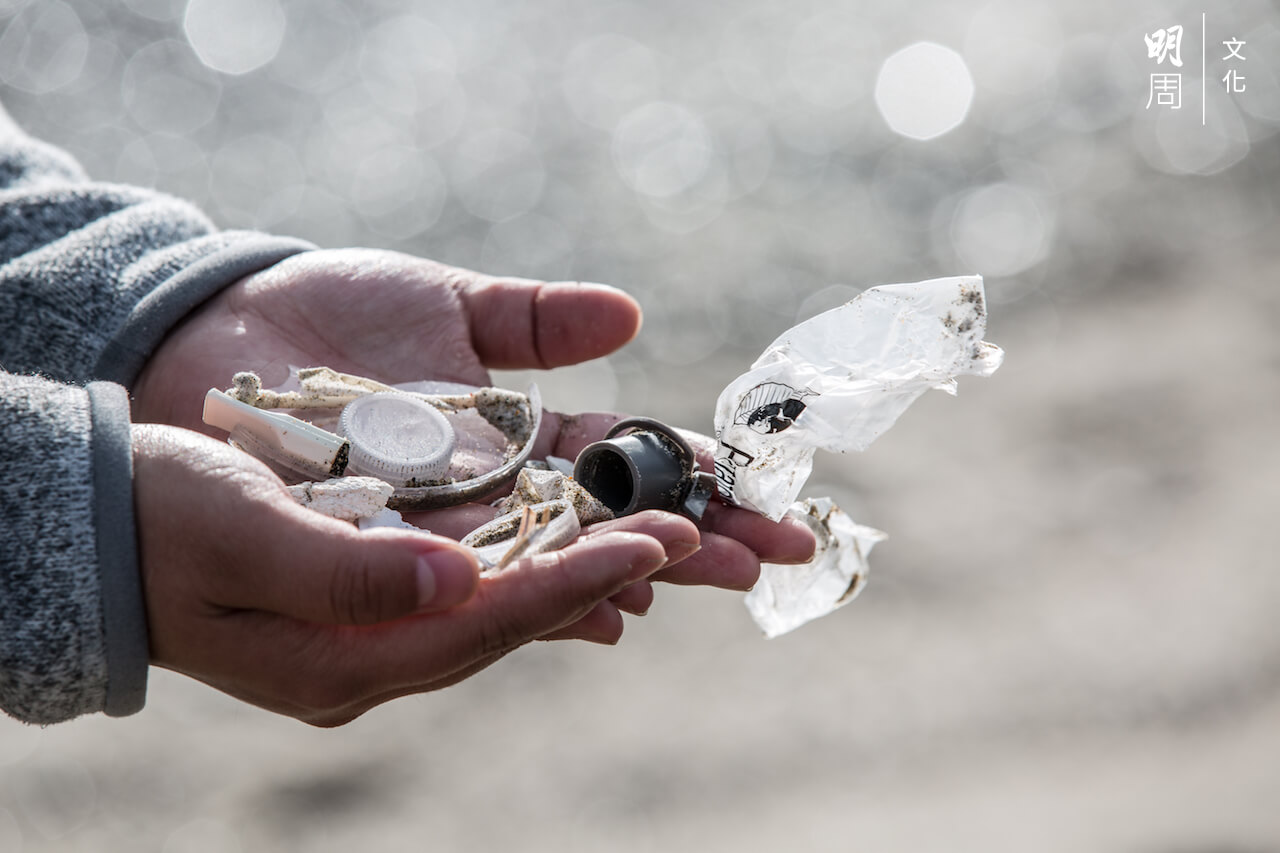 大量塑膠垃圾流入海洋，污染環境，危害海洋生物。