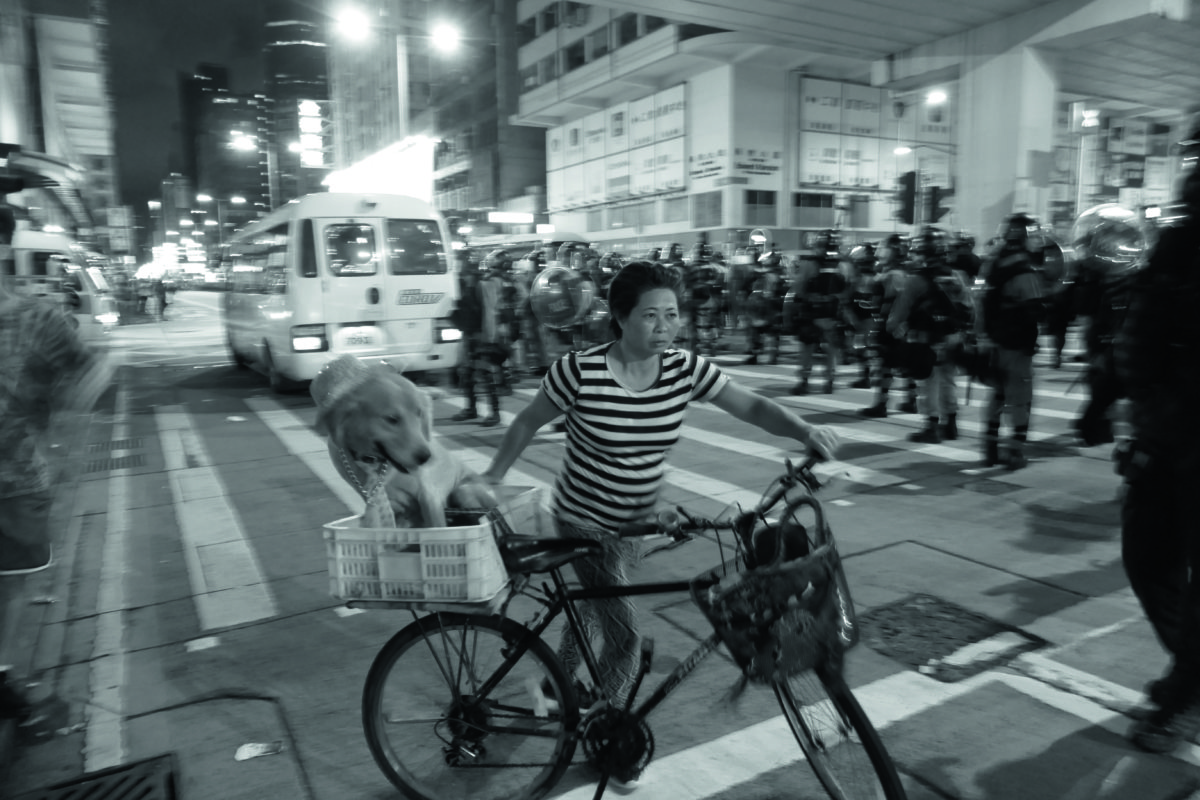 Bicyclist, her dog, and police outside Mong Kok Police Station, Prince Edward, Kowloon, 2 September 2019 