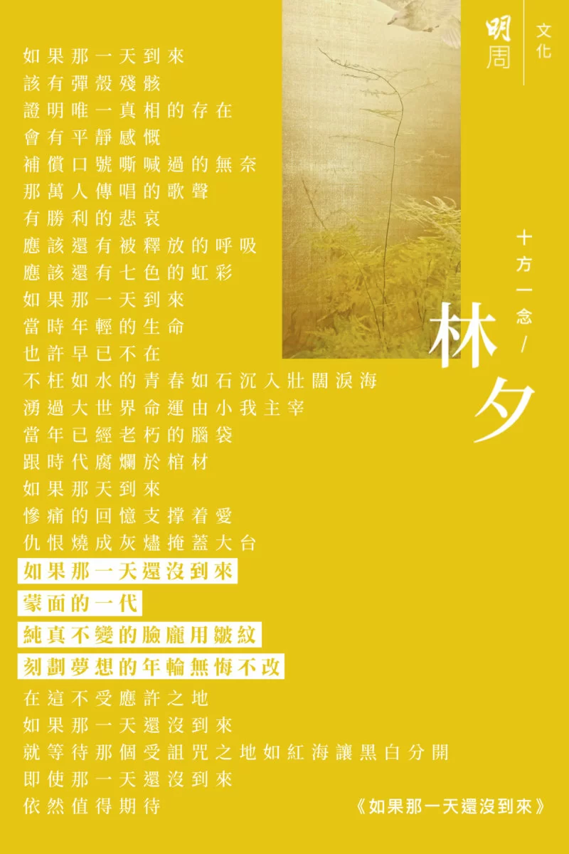 bkb_%e6%9e%97%e5%a4%95_2660