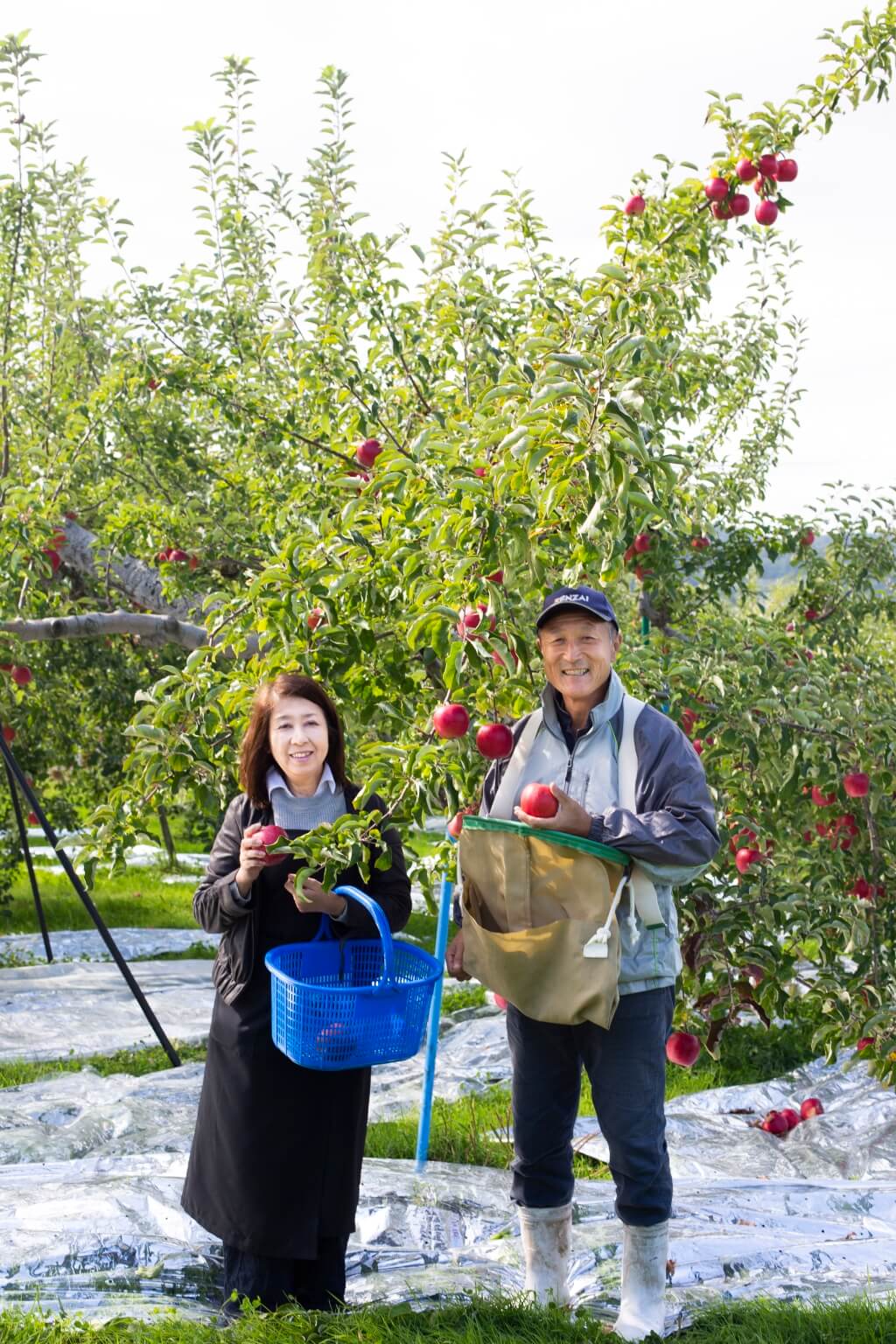 平井秀樹和太太靖子是 平井農園的園主，這個 果園至今已是第六代。