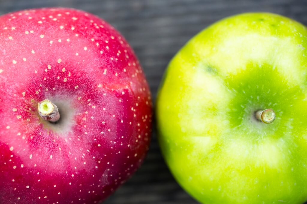 果園共有多達二十種新品種。有極酸、色 澤粉紅的Pink Lady，鮮紅色面上長有雪 花白點的千雪，也有黃蘋果星之金貨。