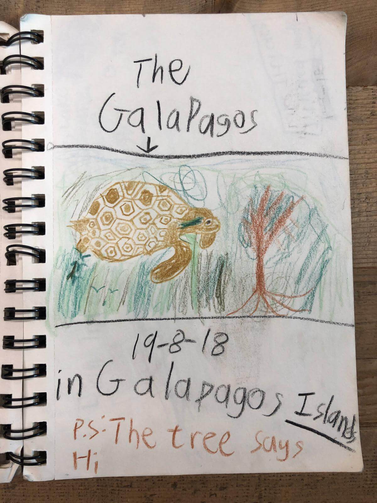  Lance說他最喜歡的地方是科隆群島 (Galápagos Islands)，有很多世界獨有的動物在島上棲息。看過大自然的美，令他更落力保護環境。
