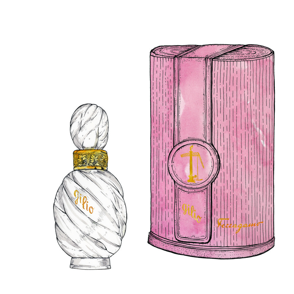 illustration-andrea-tarella-the-gilio-flacon-and-precious-outer-box