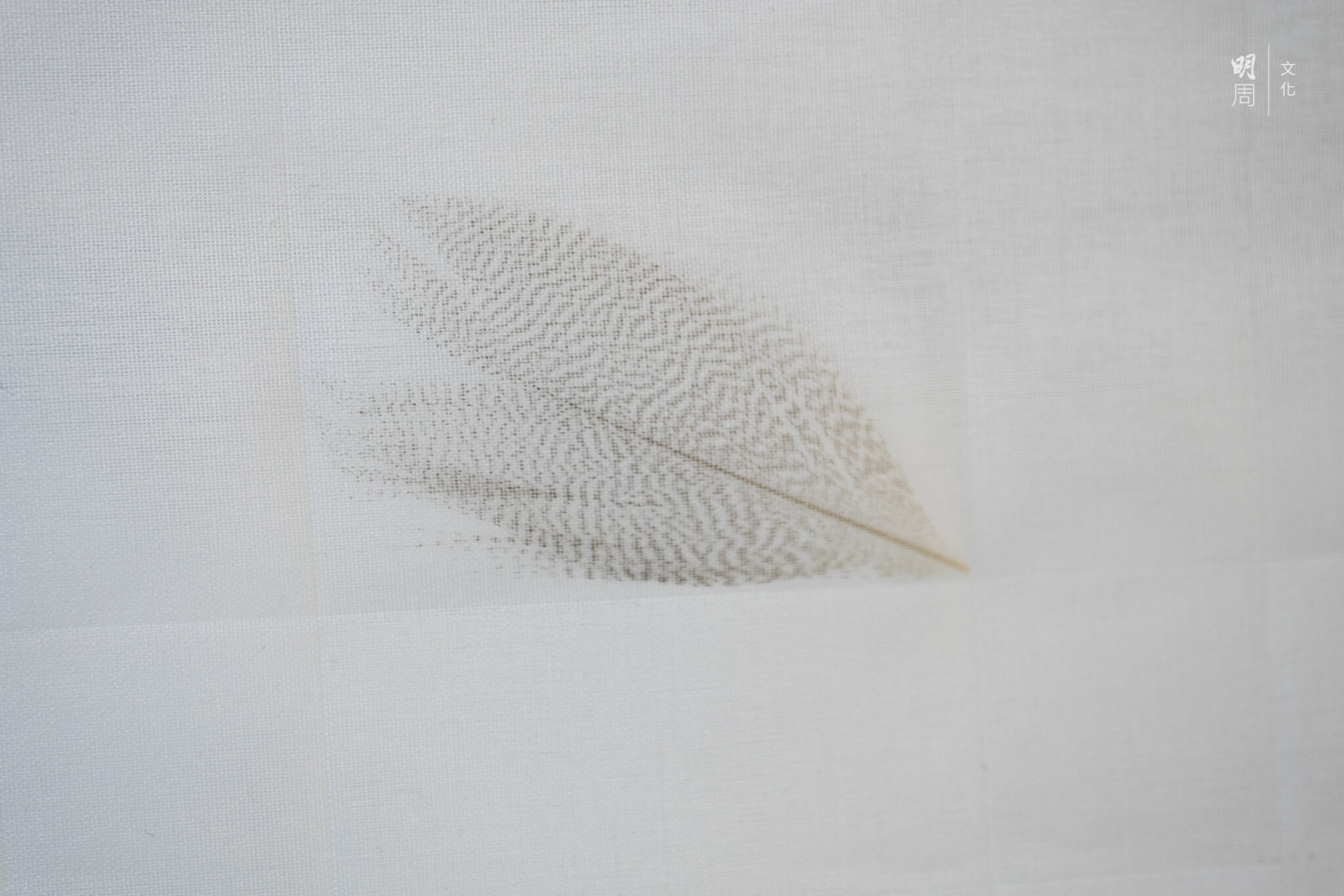 《Feather Flurries》把羽毛放在絲質的格子布料中，每塊羽毛都要由人手植入，工序繁複。