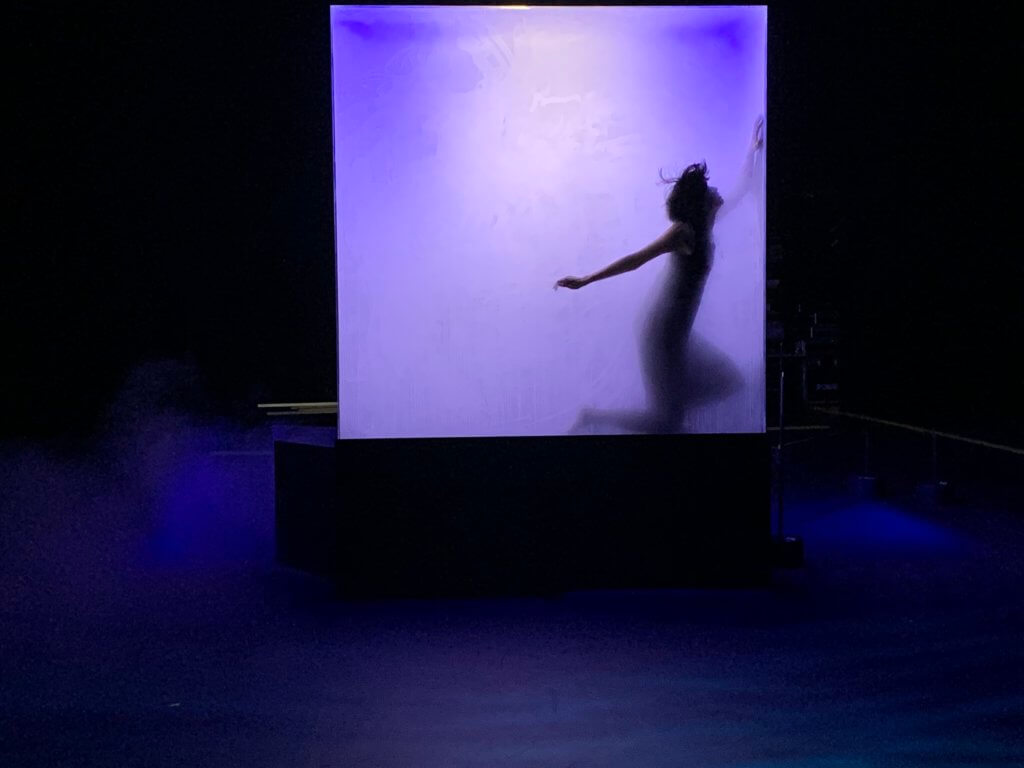 STAY/AWAY, performed at ArtisTree in August 2019. Dancer: Frankie Ho