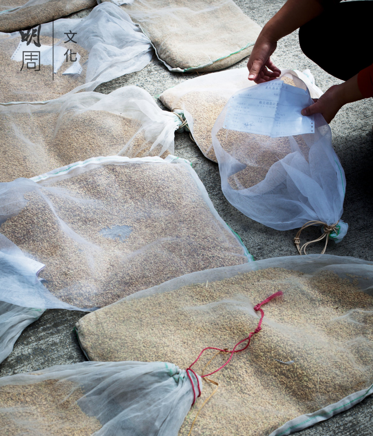 交收上來的米，全部必須附上產品履歷，稻農信息可隨時追查到。