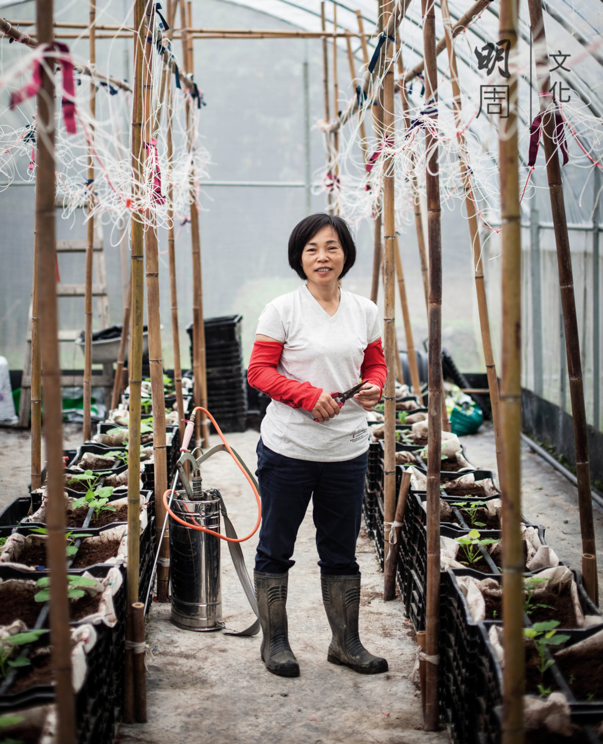 從實驗室走出來到田野，吳美貌說，世界變得更加開闊和自在。