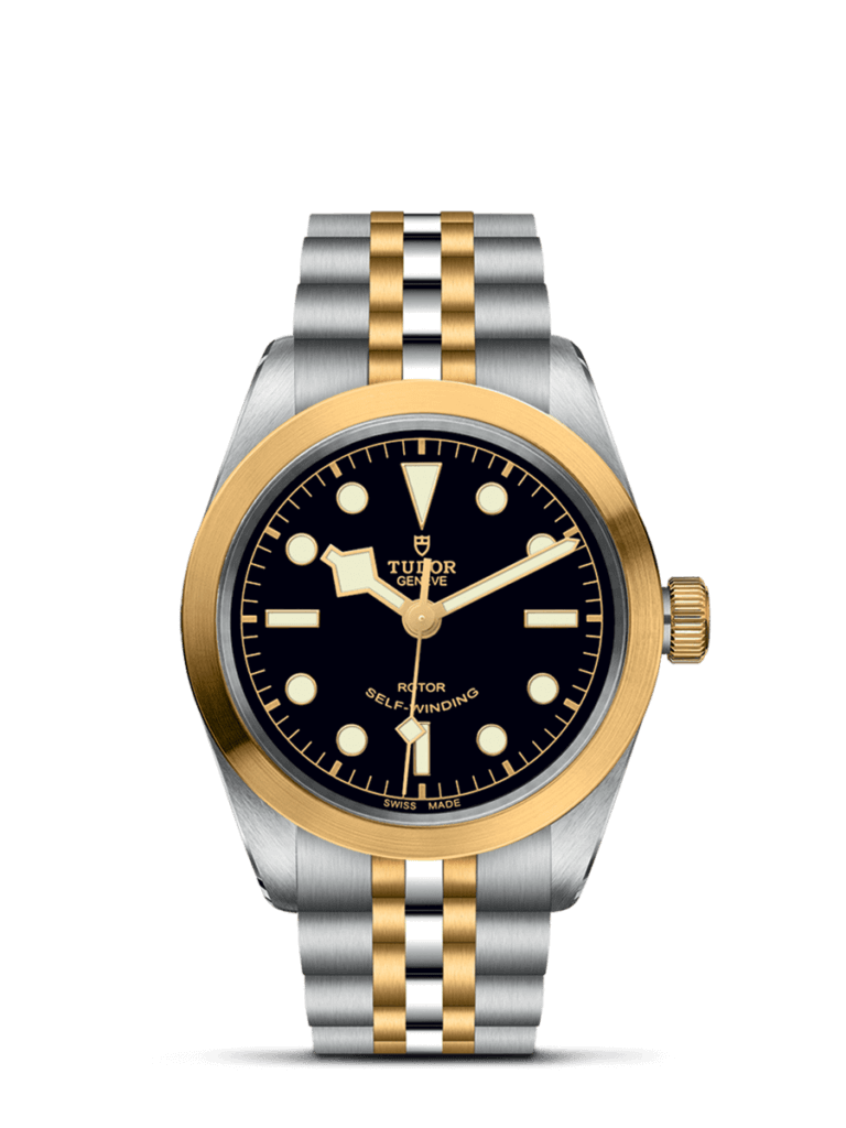 tudor-black-bay-36-sg