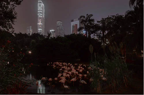 mpw2693_b038-067_013_crop