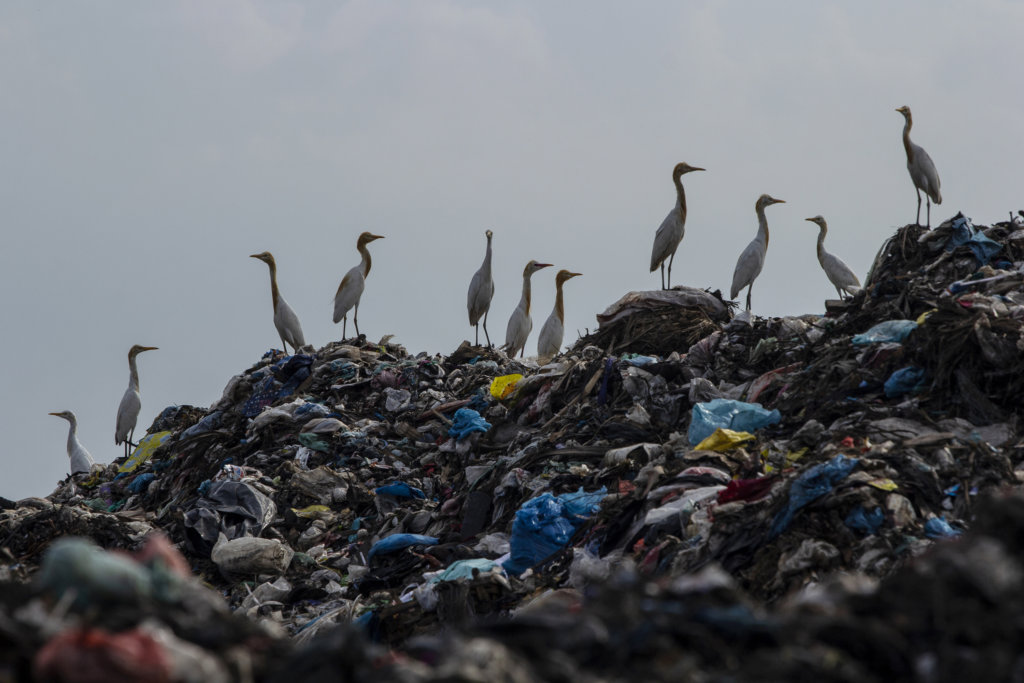 A view of plastic waster in a garbage dump site in Lhokseumawe, Aceh province, Indonesia on Wednesday June 12, 2019. Based on a study released by McKinsey and Co. and Ocean Conservancy, Indonesia us the number two plastic waste producer in the world after China. The large amount of waste production, especially plastic shipped to the Indonesian seas, directly contributes to making coastal areas and small islands dirty and full of garbage. (Photo by Zick Maulana/NurPhoto)