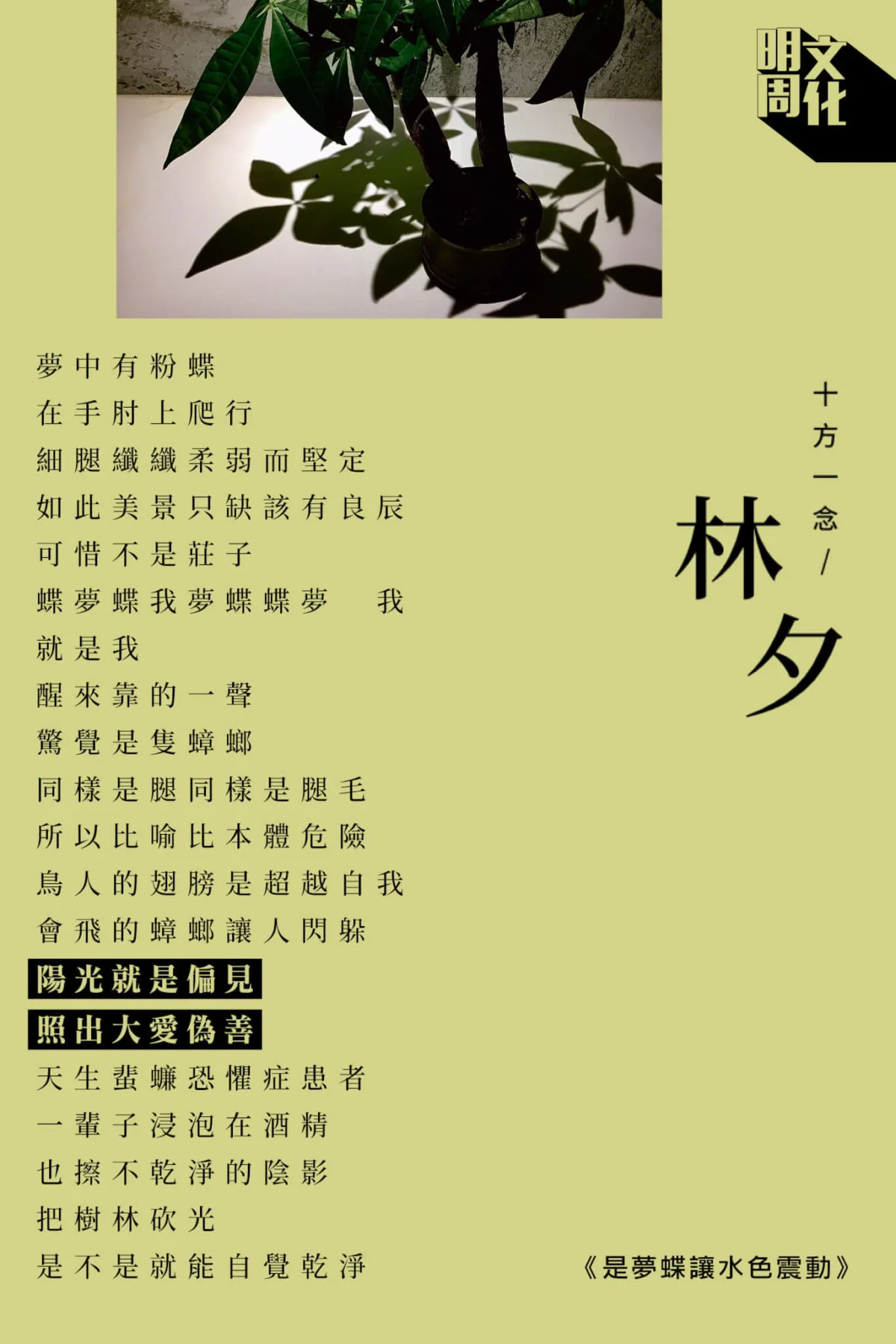 bkb_%e6%9e%97%e5%a4%95_2703