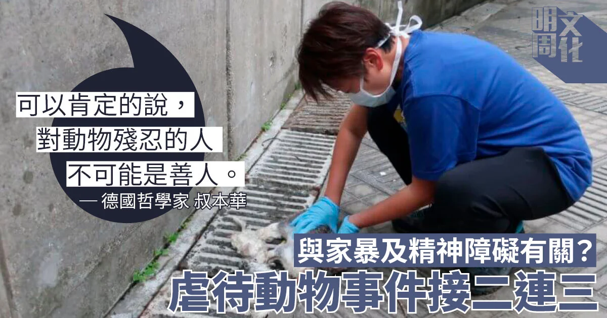 非人說 犯罪學家 虐待動物不僅是虐待動物 社會 明周文化